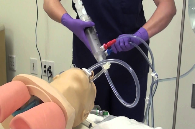 تغذيه الجهاز الهضمي